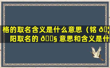 格的取名含义是什么意思（铭 🦢 阳取名的 🐧 意思和含义是什么）